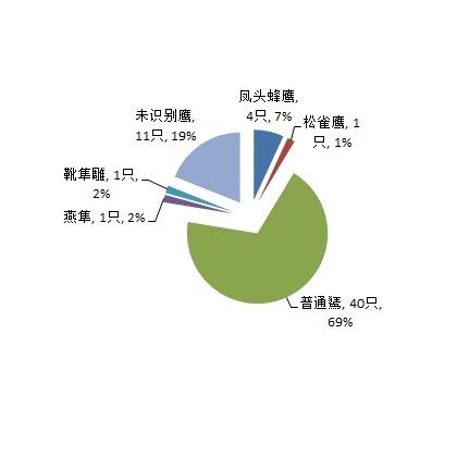 20201018ob_diary_pie_chart