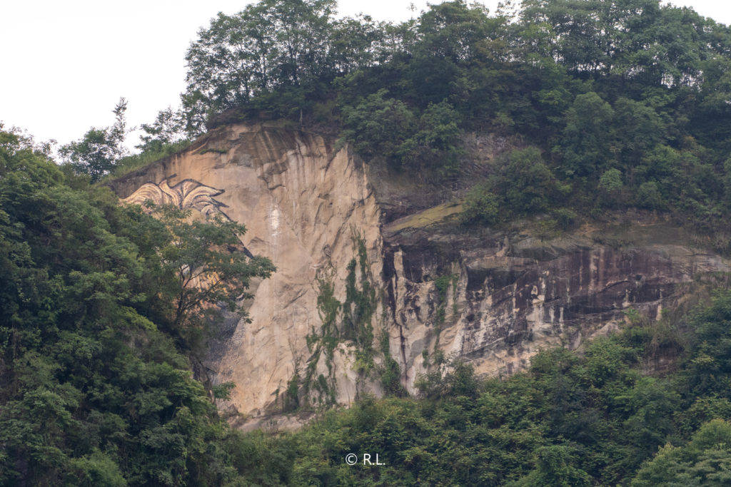 20210717海窝子, 彭州, 狮山大桥, 游隼