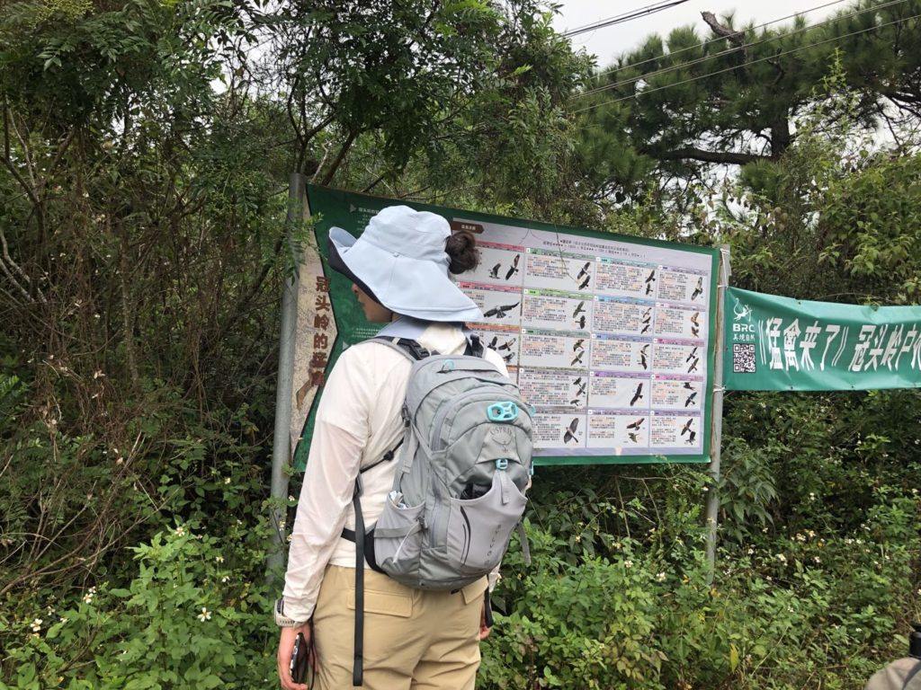 20211031北海冠头岭猛禽迁徙监测点