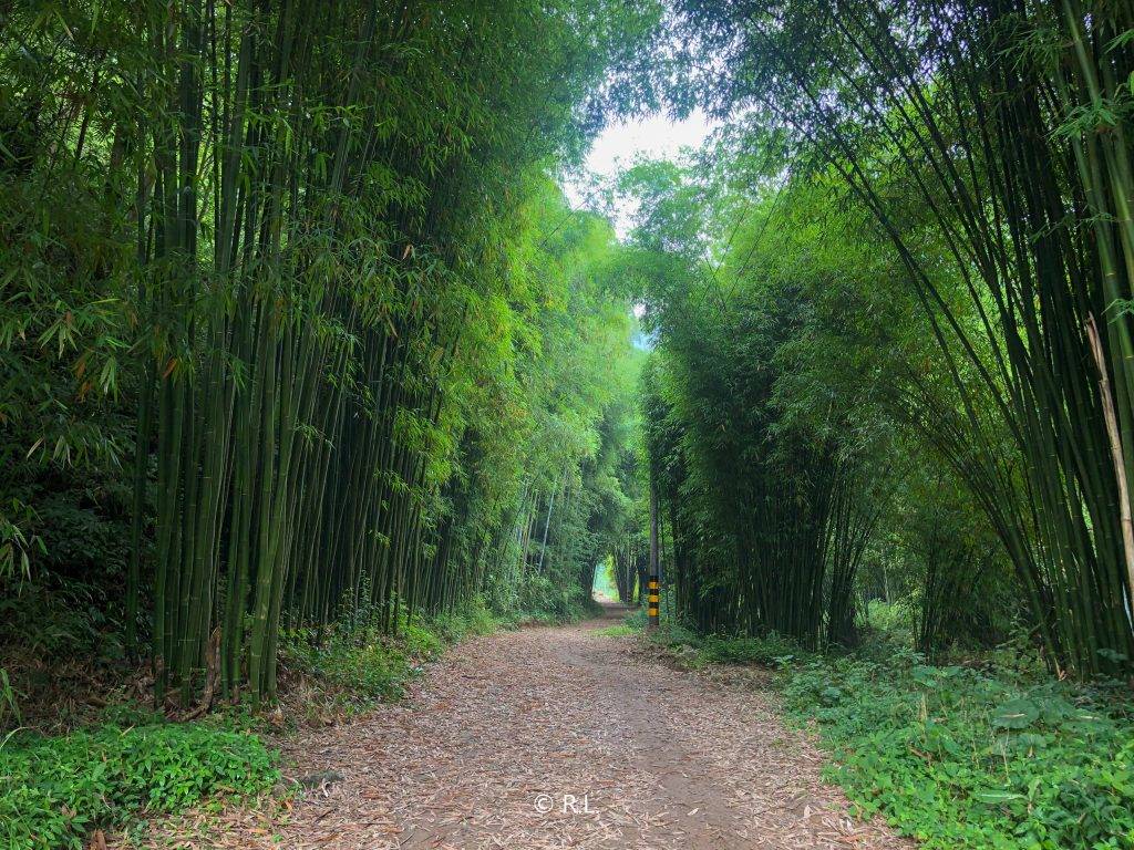 20210626彭州, 石河水库, 鸭子河2K